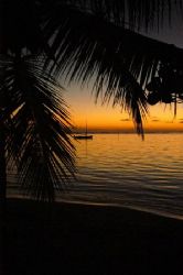Roatan, Honduras. by Shawn Jackson 
